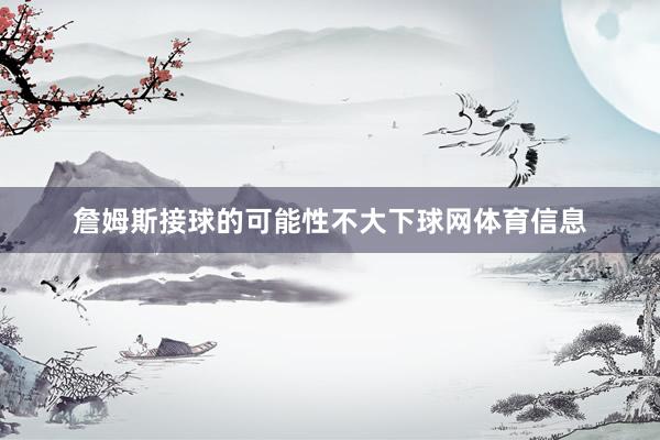 詹姆斯接球的可能性不大下球网体育信息