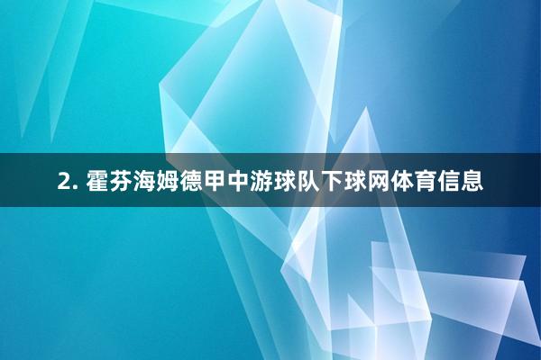 2. 霍芬海姆德甲中游球队下球网体育信息