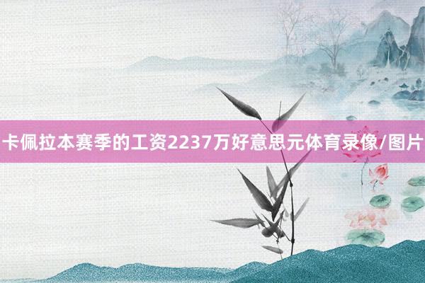 卡佩拉本赛季的工资2237万好意思元体育录像/图片