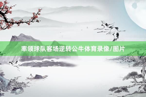 率领球队客场逆转公牛体育录像/图片