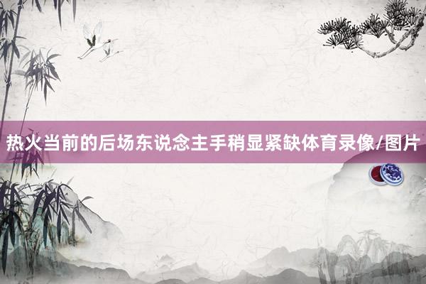 热火当前的后场东说念主手稍显紧缺体育录像/图片