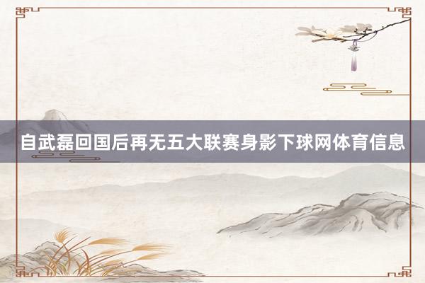 自武磊回国后再无五大联赛身影下球网体育信息