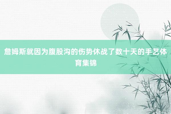 詹姆斯就因为腹股沟的伤势休战了数十天的手艺体育集锦
