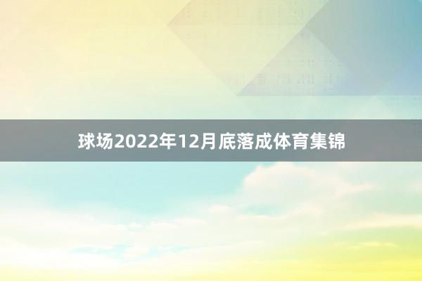球场2022年12月底落成体育集锦
