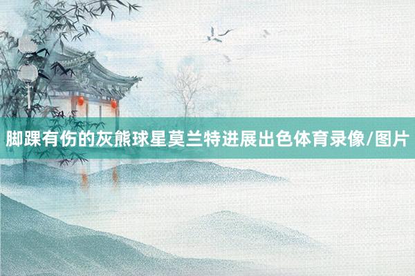 脚踝有伤的灰熊球星莫兰特进展出色体育录像/图片