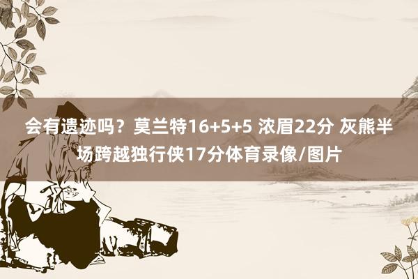 会有遗迹吗？莫兰特16+5+5 浓眉22分 灰熊半场跨越独行侠17分体育录像/图片