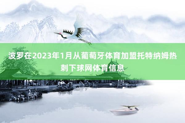 波罗在2023年1月从葡萄牙体育加盟托特纳姆热刺下球网体育信息