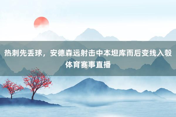 热刺先丢球，安德森远射击中本坦库而后变线入彀体育赛事直播