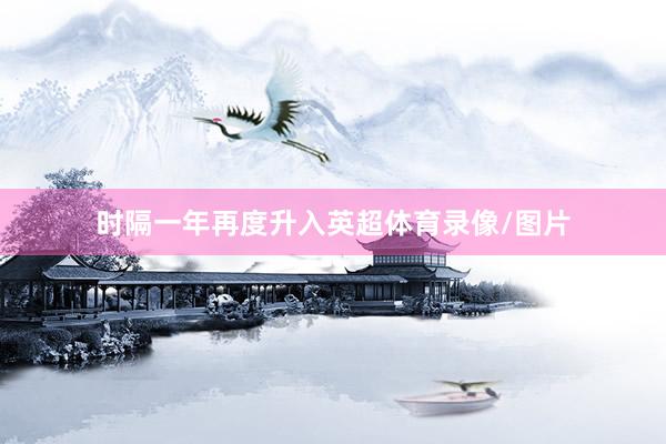 时隔一年再度升入英超体育录像/图片