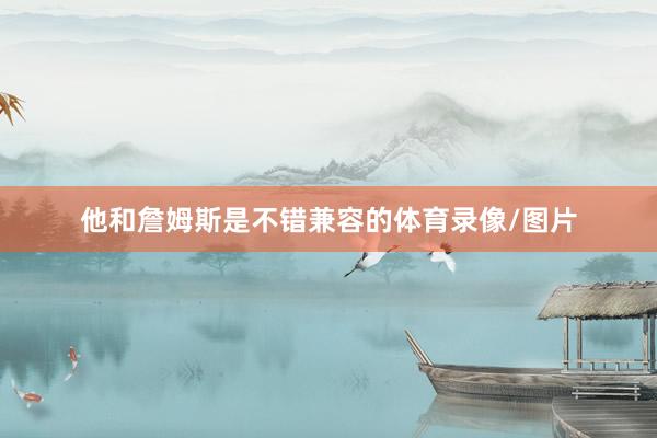 他和詹姆斯是不错兼容的体育录像/图片