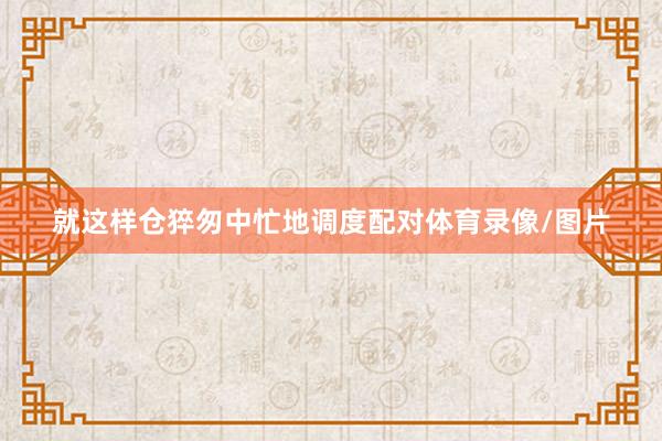 就这样仓猝匆中忙地调度配对体育录像/图片