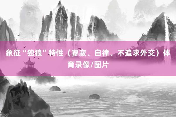 象征“独狼”特性（寥寂、自律、不追求外交）体育录像/图片