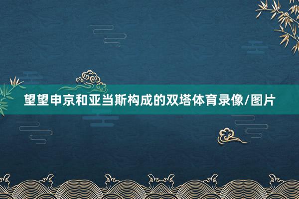 望望申京和亚当斯构成的双塔体育录像/图片
