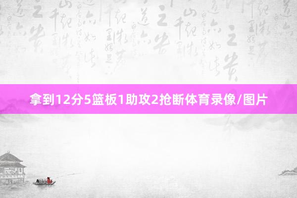 拿到12分5篮板1助攻2抢断体育录像/图片