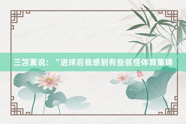 三笘薫说：“进球后我感到有些骇怪体育集锦