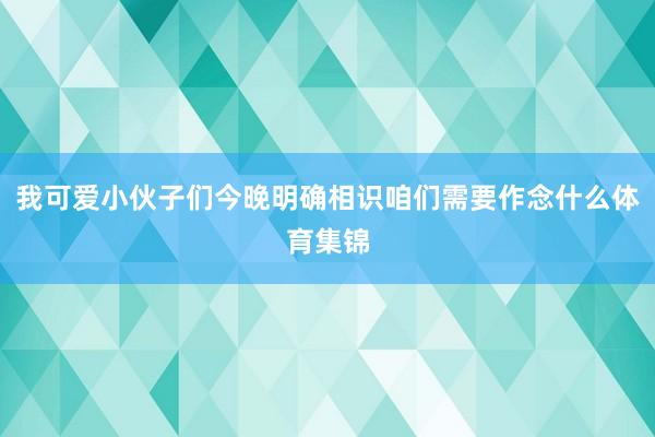 我可爱小伙子们今晚明确相识咱们需要作念什么体育集锦