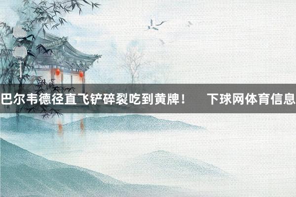巴尔韦德径直飞铲碎裂吃到黄牌！    下球网体育信息
