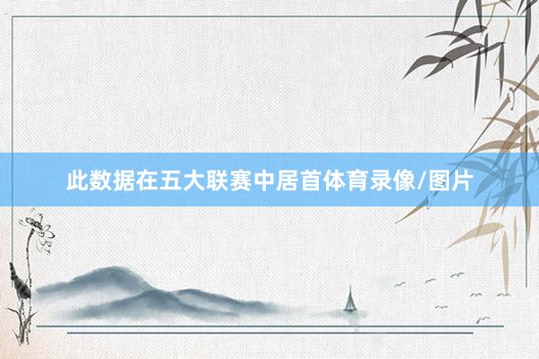 此数据在五大联赛中居首体育录像/图片
