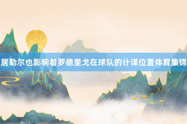 居勒尔也影响着罗德里戈在球队的计谋位置体育集锦