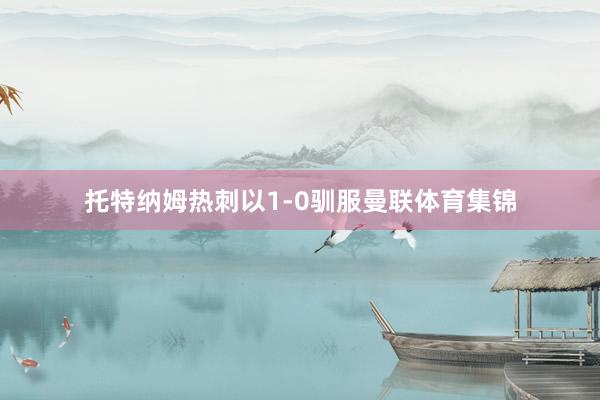 托特纳姆热刺以1-0驯服曼联体育集锦