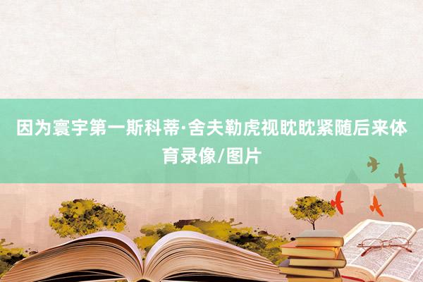 因为寰宇第一斯科蒂·舍夫勒虎视眈眈紧随后来体育录像/图片