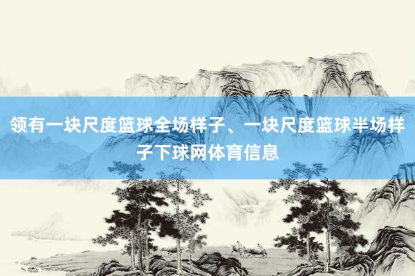 领有一块尺度篮球全场样子、一块尺度篮球半场样子下球网体育信息