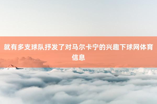 就有多支球队抒发了对马尔卡宁的兴趣下球网体育信息