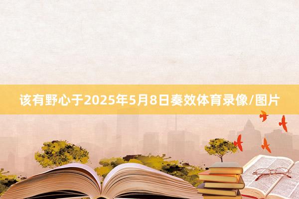 该有野心于2025年5月8日奏效体育录像/图片