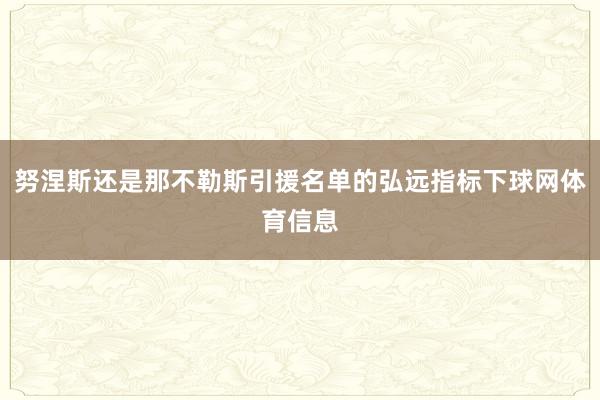 努涅斯还是那不勒斯引援名单的弘远指标下球网体育信息