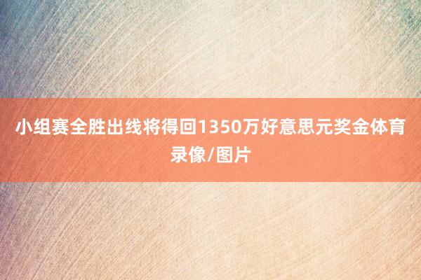 小组赛全胜出线将得回1350万好意思元奖金体育录像/图片