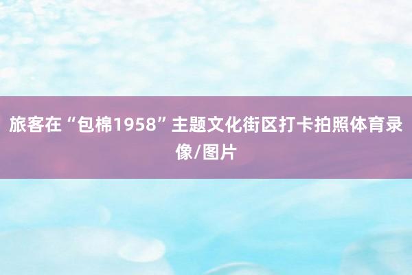 旅客在“包棉1958”主题文化街区打卡拍照体育录像/图片