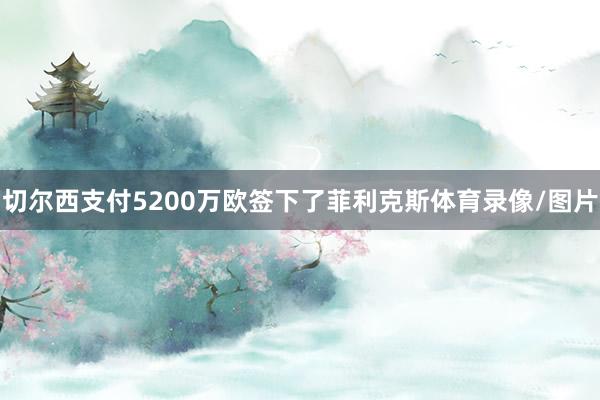 切尔西支付5200万欧签下了菲利克斯体育录像/图片