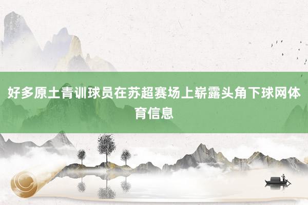 好多原土青训球员在苏超赛场上崭露头角下球网体育信息