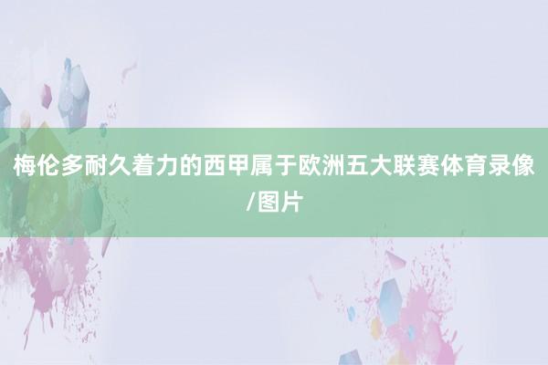 梅伦多耐久着力的西甲属于欧洲五大联赛体育录像/图片