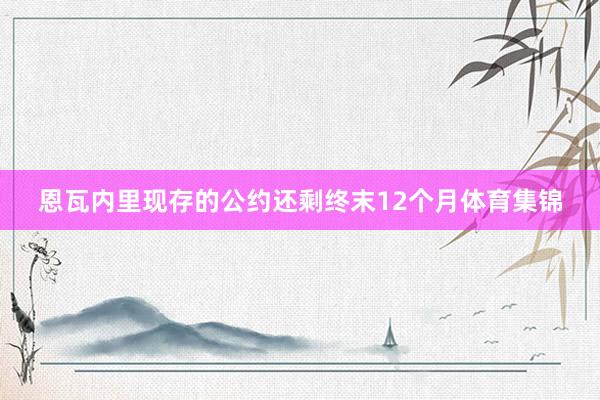恩瓦内里现存的公约还剩终末12个月体育集锦
