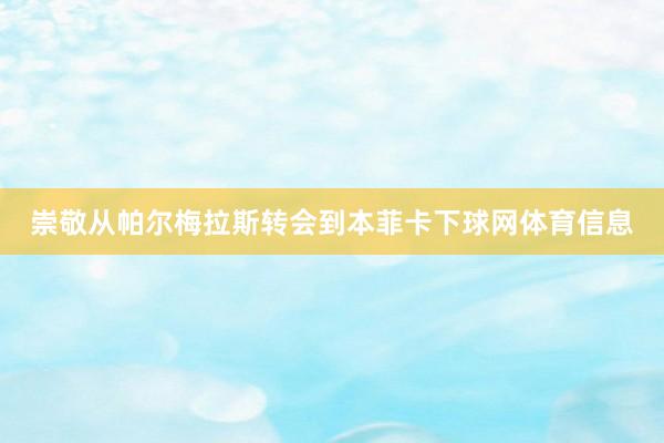 崇敬从帕尔梅拉斯转会到本菲卡下球网体育信息