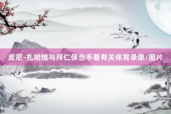 皮尼-扎哈维与拜仁保合手着有关体育录像/图片