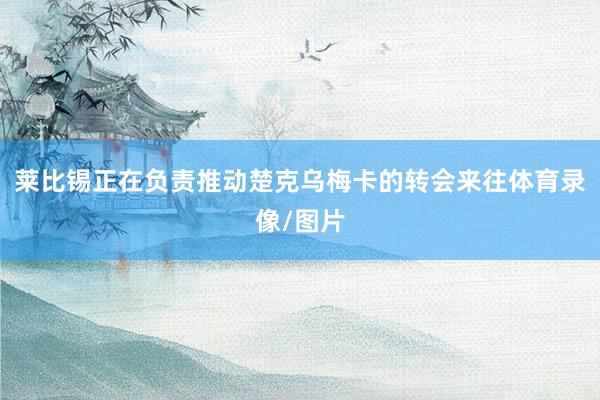 莱比锡正在负责推动楚克乌梅卡的转会来往体育录像/图片