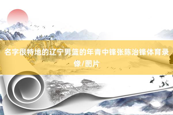 名字很特地的辽宁男篮的年青中锋张陈治锋体育录像/图片