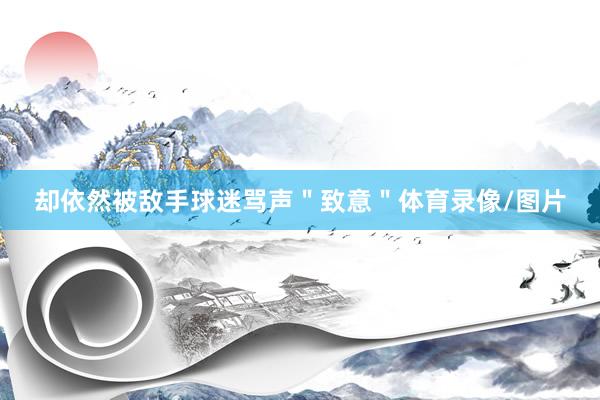 却依然被敌手球迷骂声＂致意＂体育录像/图片