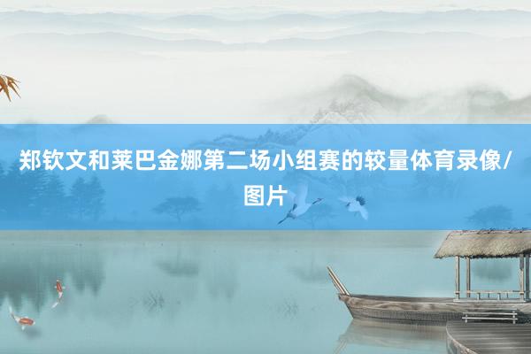 郑钦文和莱巴金娜第二场小组赛的较量体育录像/图片