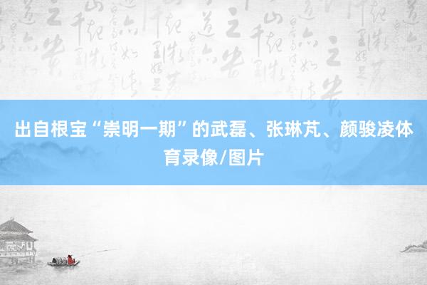 出自根宝“崇明一期”的武磊、张琳芃、颜骏凌体育录像/图片