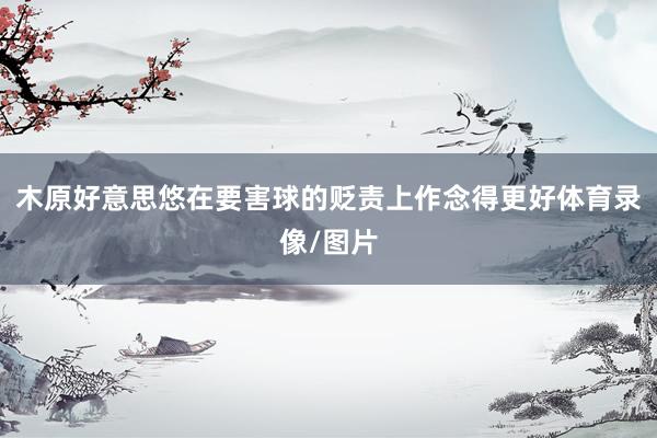 木原好意思悠在要害球的贬责上作念得更好体育录像/图片