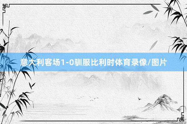 意大利客场1-0驯服比利时体育录像/图片