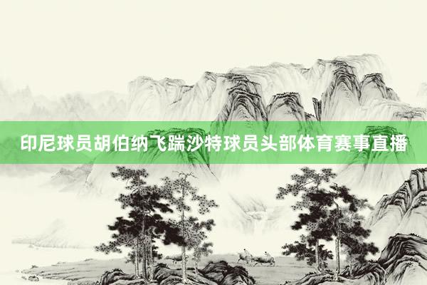 印尼球员胡伯纳飞踹沙特球员头部体育赛事直播