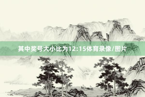 其中奖号大小比为12:15体育录像/图片