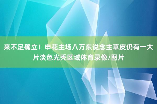 来不足确立！申花主场八万东说念主草皮仍有一大片淡色光秃区域体
