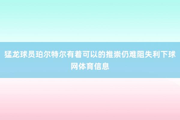 猛龙球员珀尔特尔有着可以的推崇仍难阻失利下球网体育信息