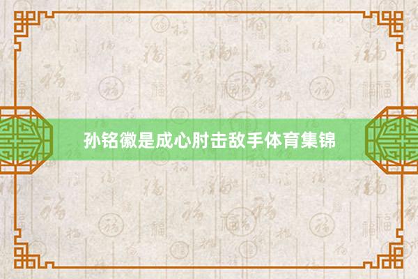 孙铭徽是成心肘击敌手体育集锦
