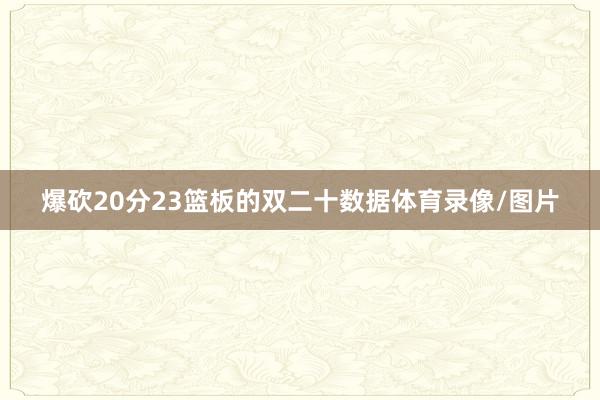 爆砍20分23篮板的双二十数据体育录像/图片